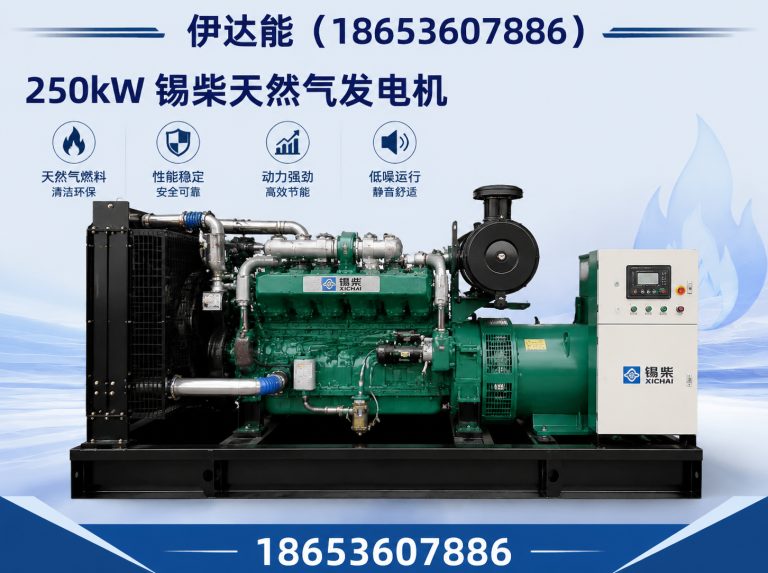 潍坊滨海经济技术开发区气代油发电机组展示图
